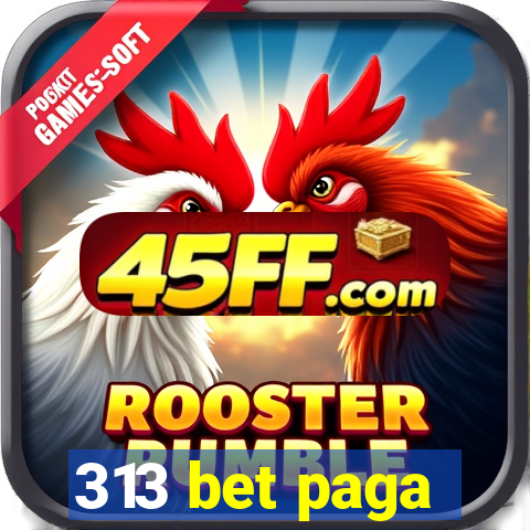 313 bet paga